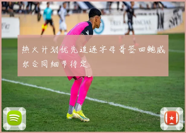 热火计划优先追逐字母哥签回鲍威尔合同细节待定