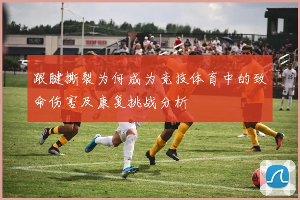 跟腱撕裂为何成为竞技体育中的致命伤害及康复挑战分析